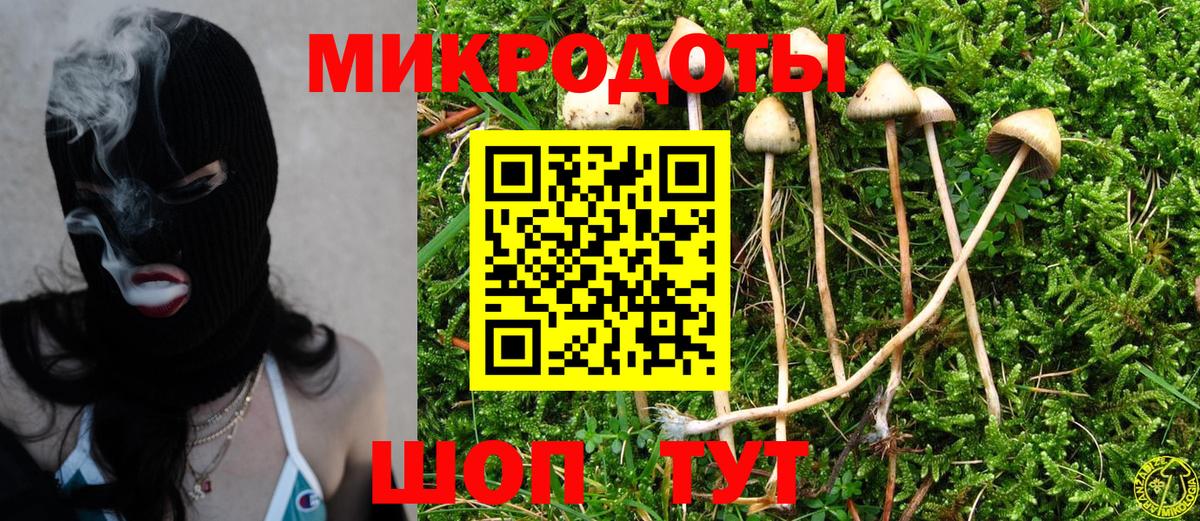 Псилоцибиновые грибы мухоморы Анжеро-Судженск